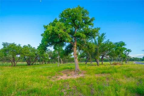 000 Twisted Vine Ranch Johnson City TX 78636
