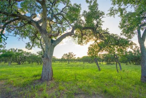 000 Twisted Vine Ranch Johnson City TX 78636