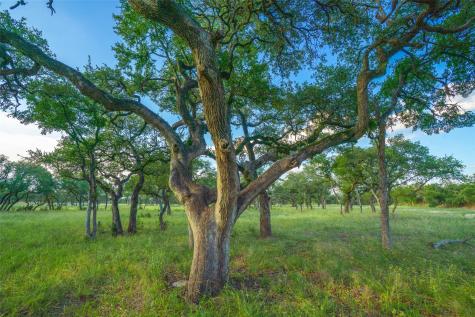 000 Twisted Vine Ranch Johnson City TX 78636