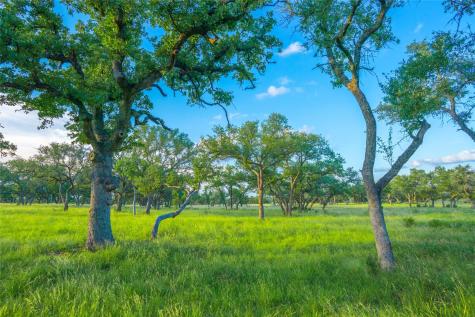 000 Twisted Vine Ranch Johnson City TX 78636