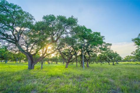 000 Twisted Vine Ranch Johnson City TX 78636