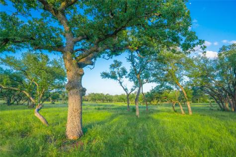 000 Twisted Vine Ranch Johnson City TX 78636