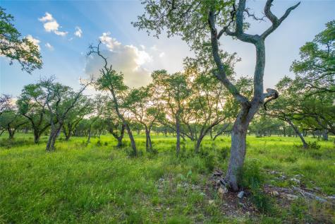 000 Twisted Vine Ranch Johnson City TX 78636