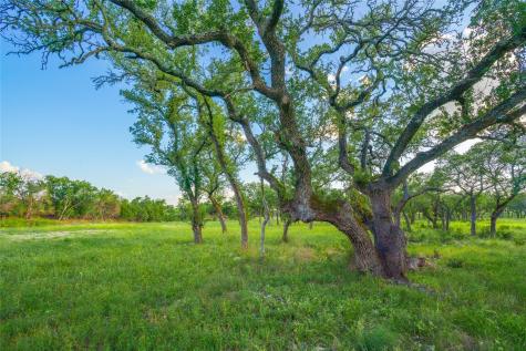 000 Twisted Vine Ranch Johnson City TX 78636