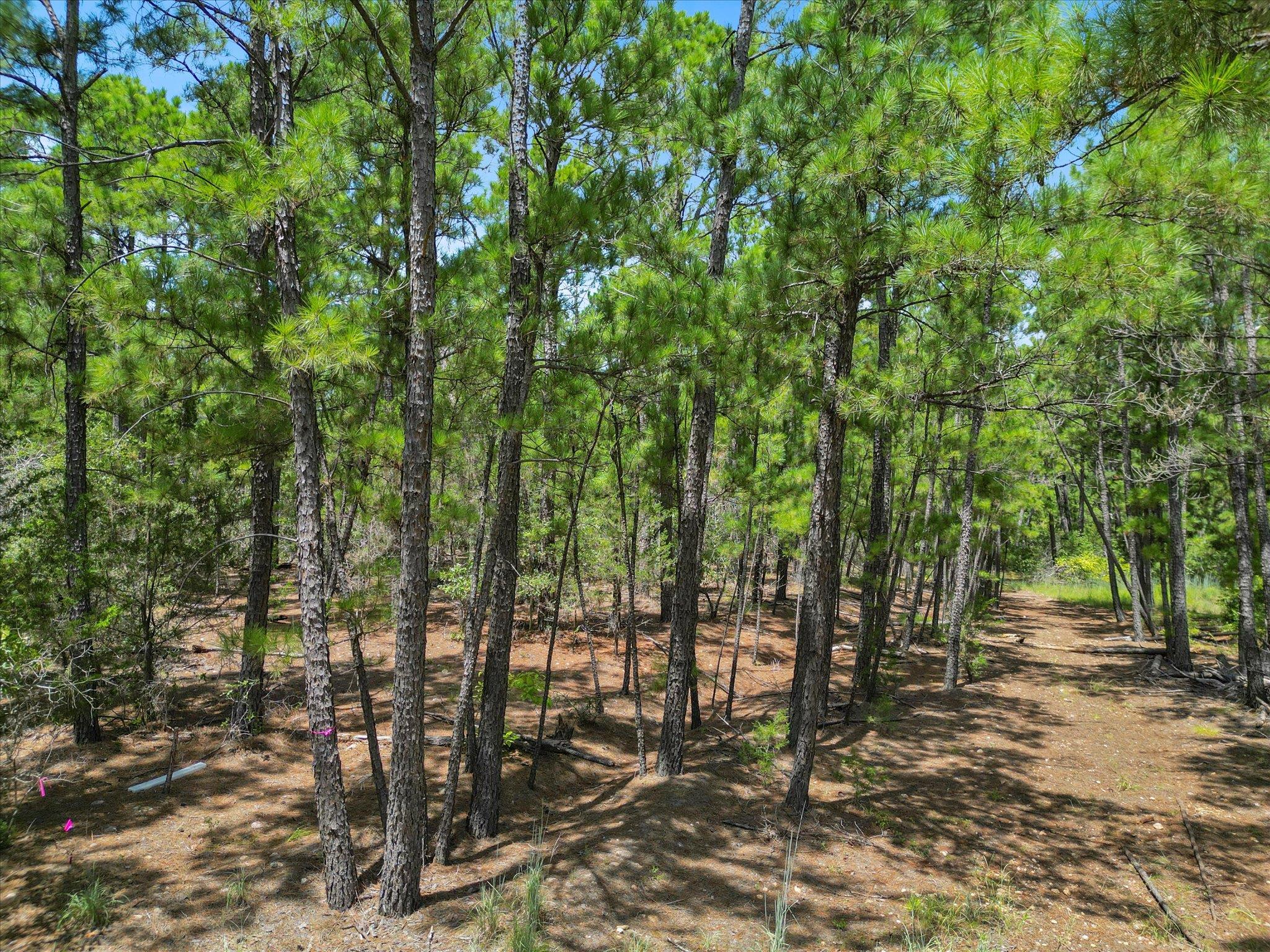 Lot 55 Akala Lane Bastrop TX 78602