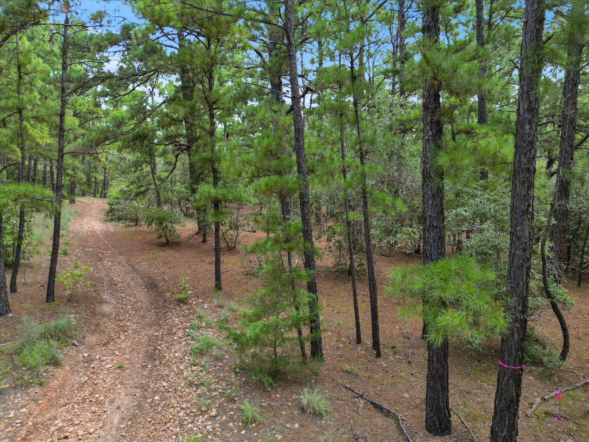 Lot 55 Akala Lane Bastrop TX 78602