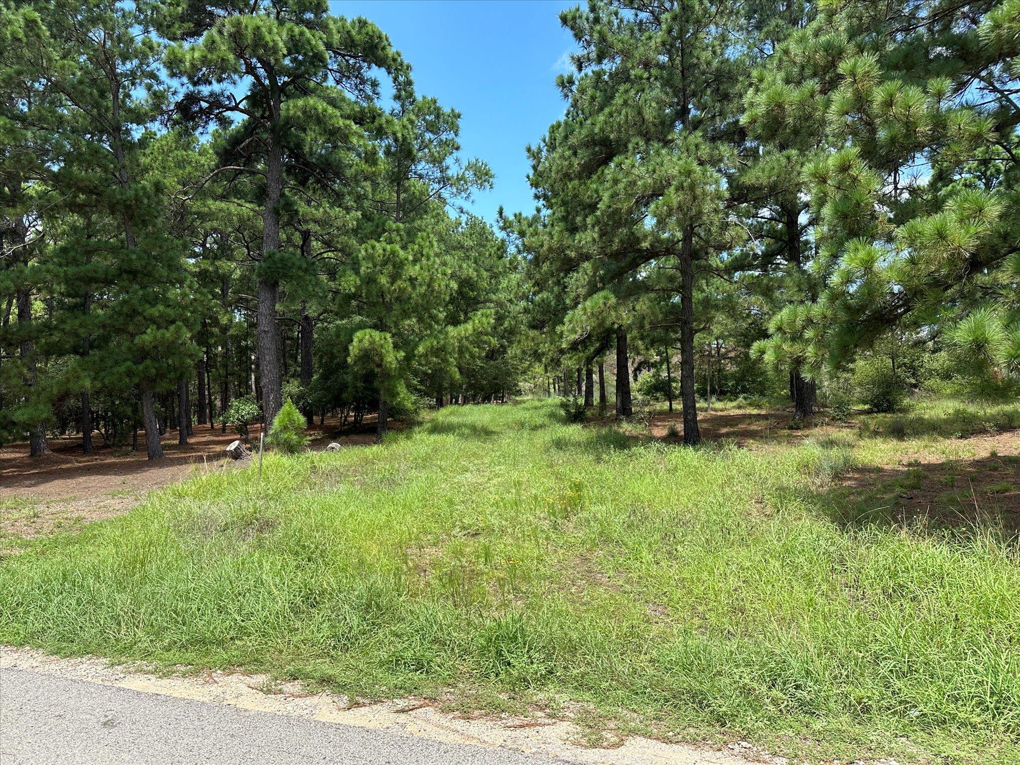 Lot 55 Akala Lane Bastrop TX 78602