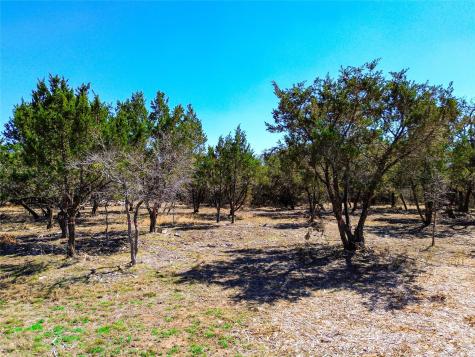 120 Blessing Ranch Road Liberty Hill TX 78642