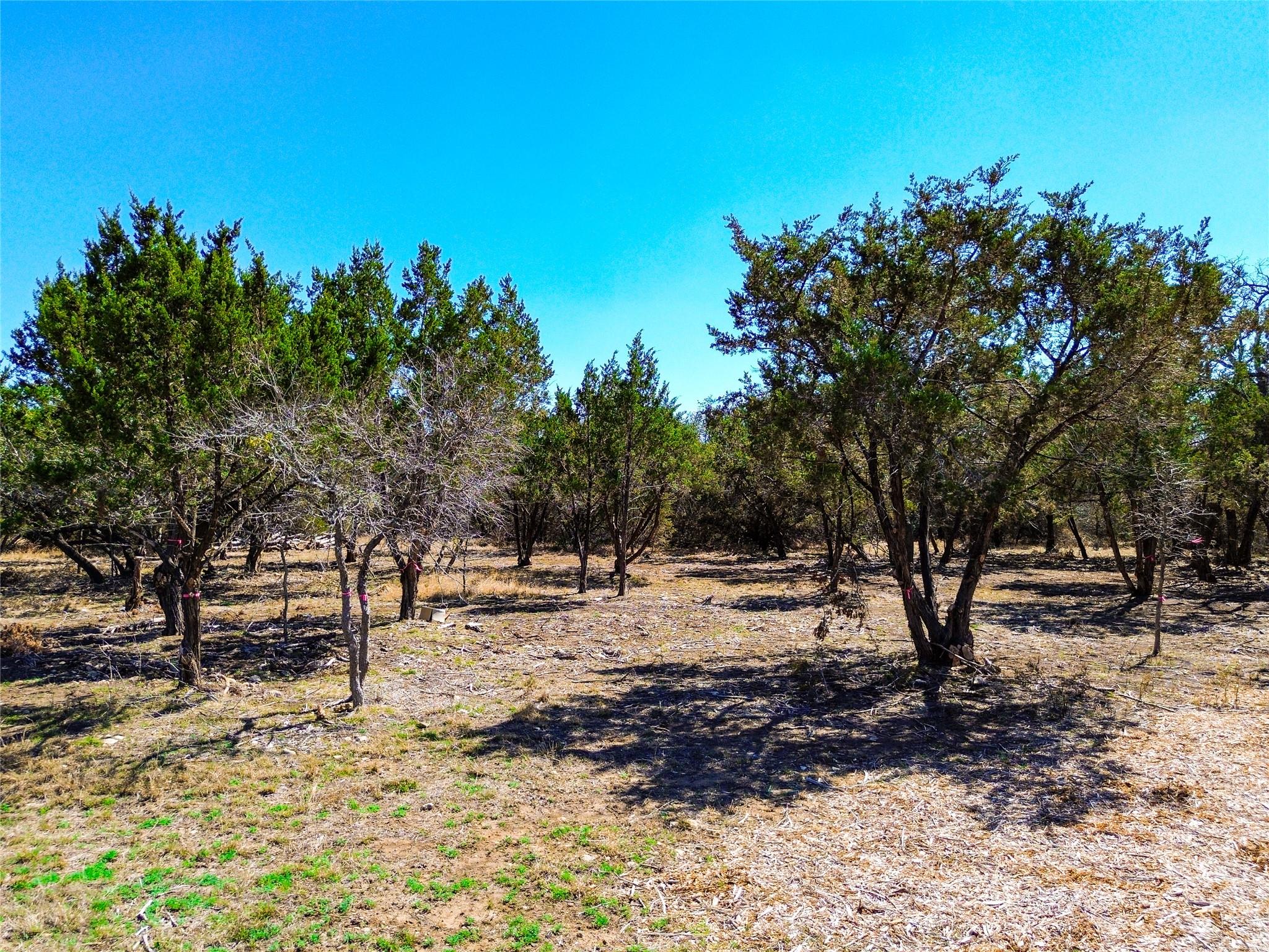 120 Blessing Ranch Road Liberty Hill TX 78642