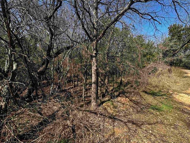 Lot 12 Longhorn Drive Burnet TX 78611