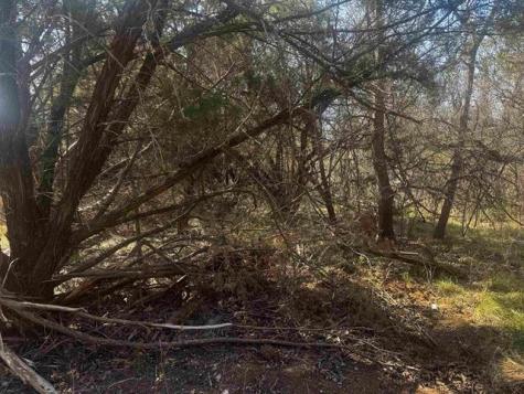 Lot 12 Longhorn Drive Burnet TX 78611