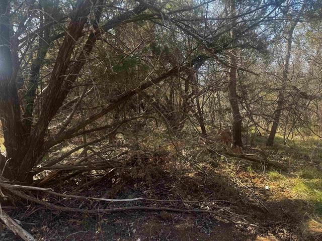 Lot 12 Longhorn Drive Burnet TX 78611