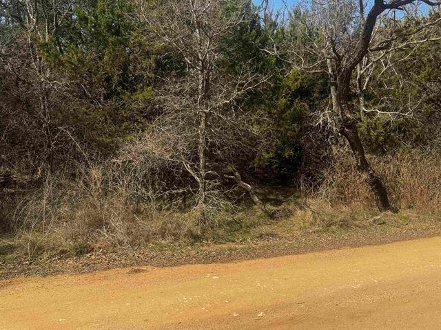 Lot 12 Longhorn Drive Burnet TX 78611
