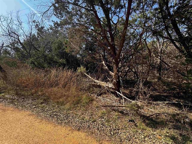 Lot 12 Longhorn Drive Burnet TX 78611