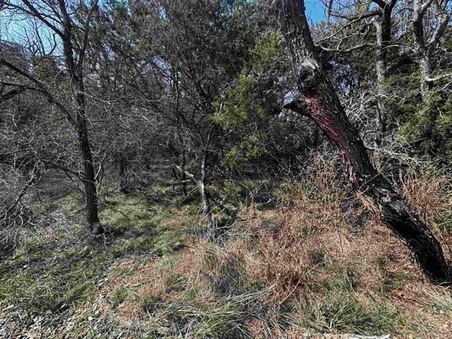 Lot 12 Longhorn Drive Burnet TX 78611