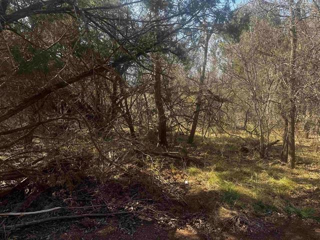 Lot 12 Longhorn Drive Burnet TX 78611