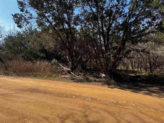 Lot 12 Longhorn Drive Burnet TX 78611
