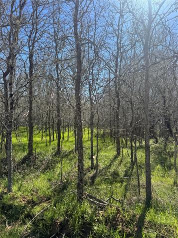 291 Kolekole Lane Bastrop TX 78602