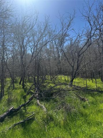 291 Kolekole Lane Bastrop TX 78602
