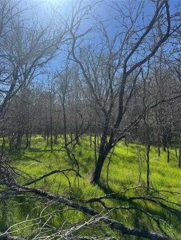 291 Kolekole Lane Bastrop TX 78602