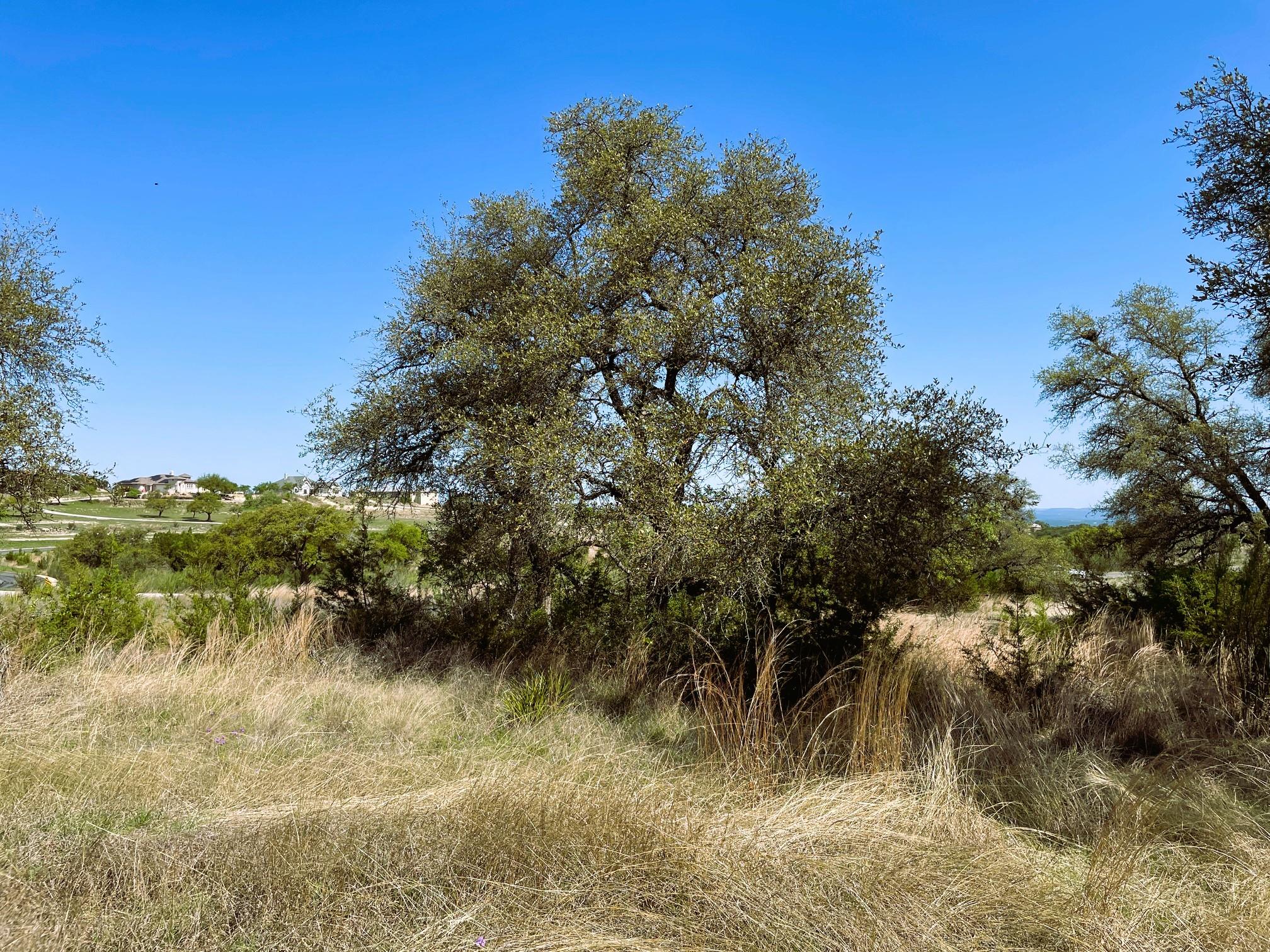 321 Cedar Mountain Drive Marble Falls TX 78654