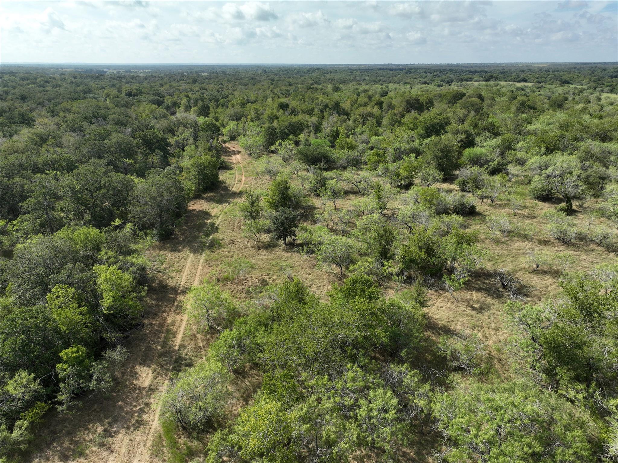Tbd Lot 22 Cr 424 Road Waelder TX 78629