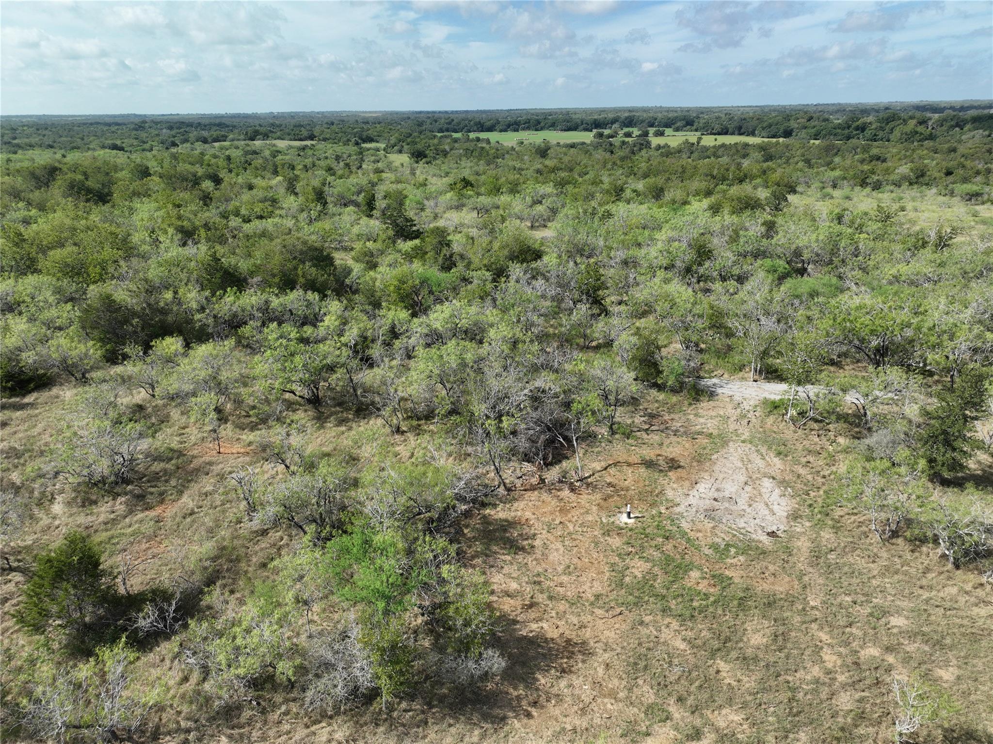 Tbd Lot 22 Cr 424 Road Waelder TX 78629