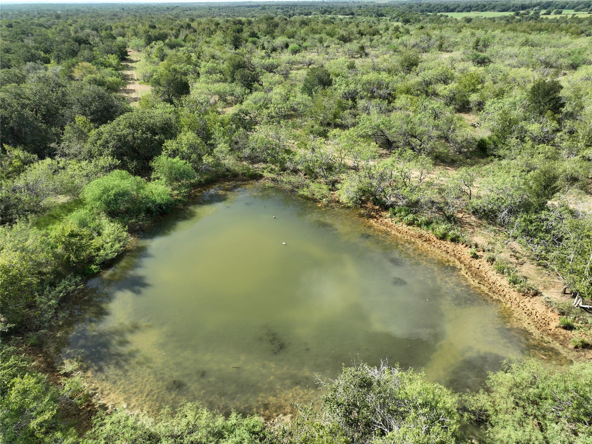 Tbd Lot 22 Cr 424 Road Waelder TX 78629