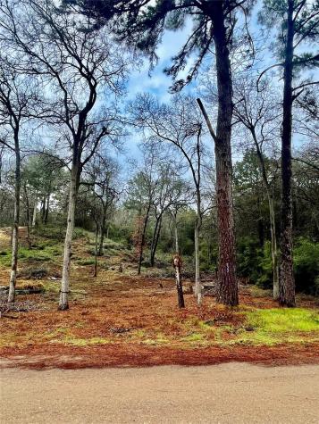 122 Helemano Drive Bastrop TX 78602