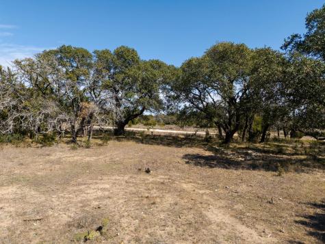 Tbd Lot 237 Heartleaf Drive Lampasas TX 76550