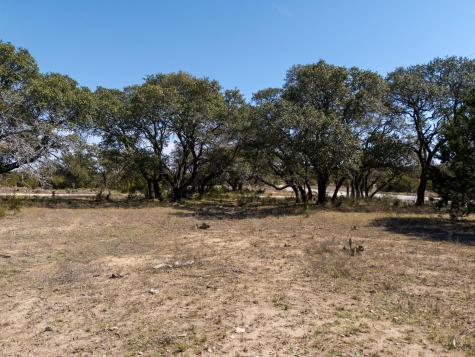 Tbd Lot 237 Heartleaf Drive Lampasas TX 76550