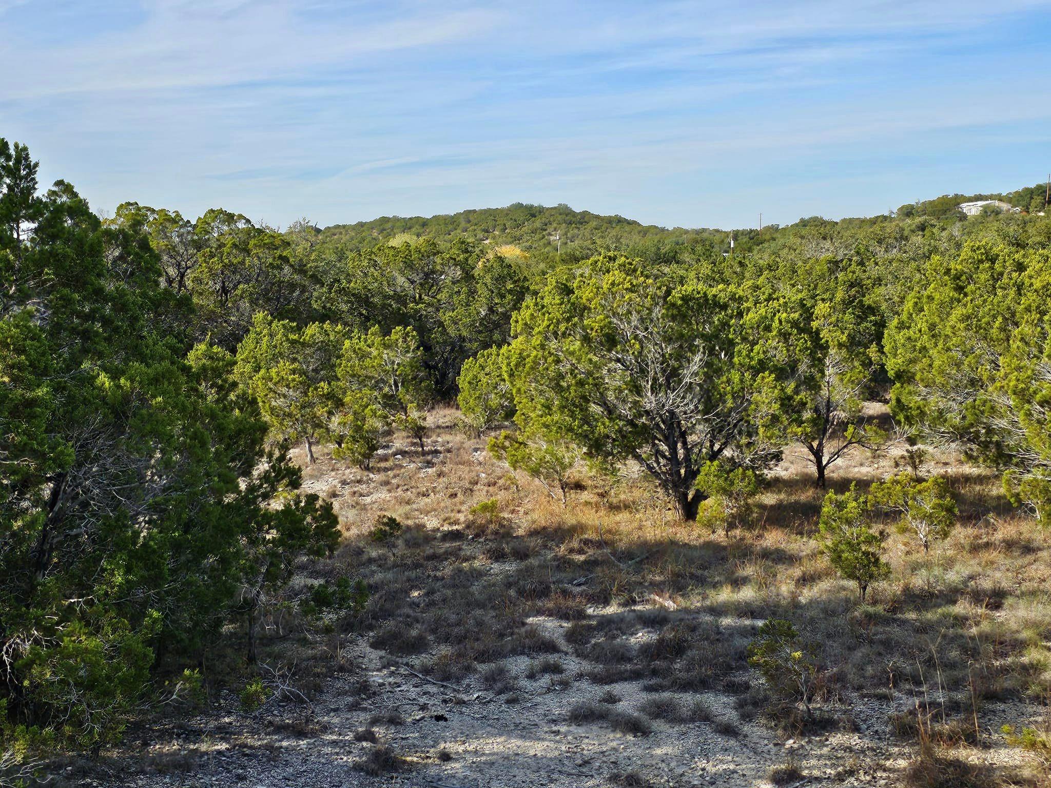 6438 Shaw Drive Marble Falls TX 78654