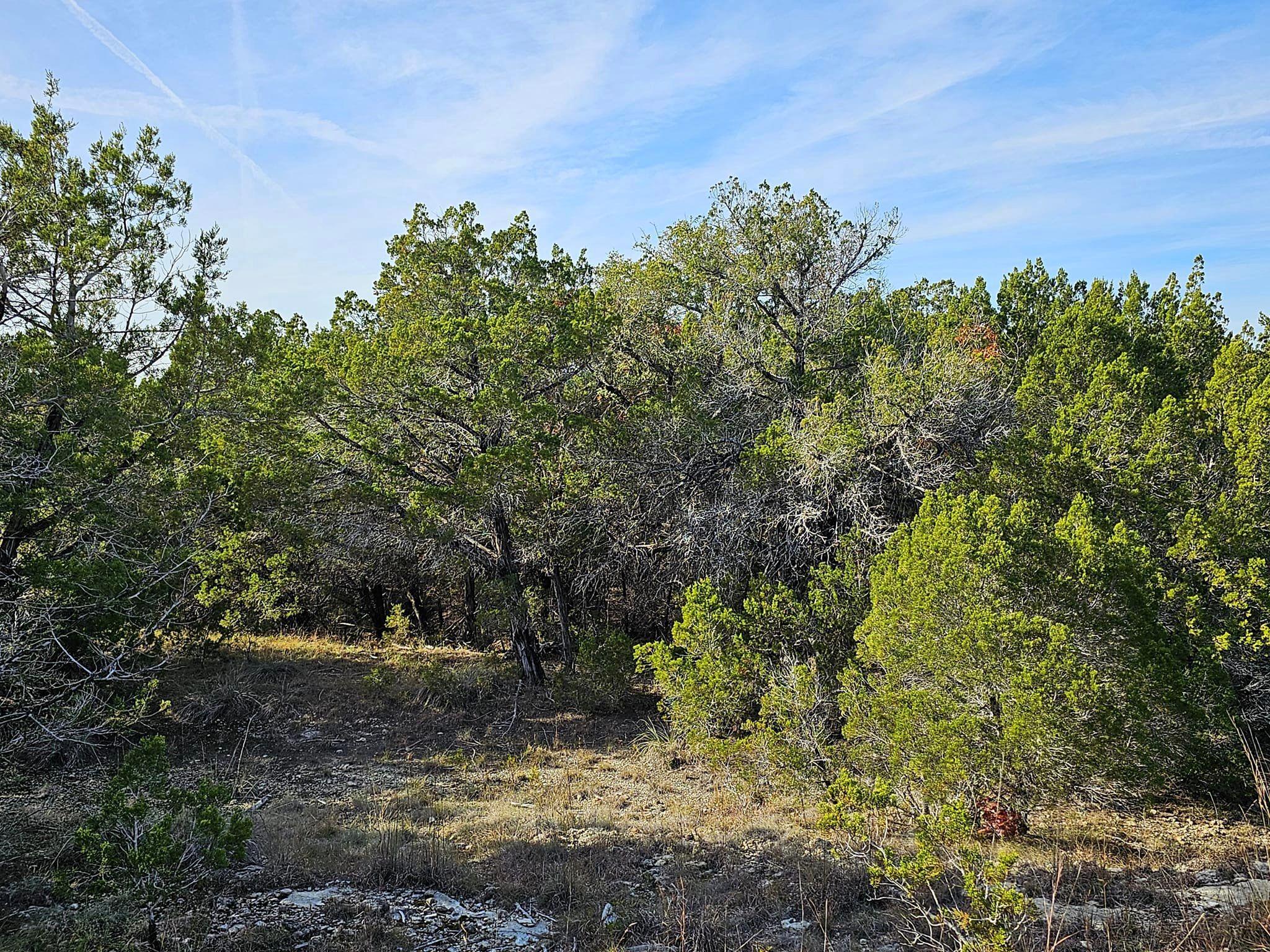 6438 Shaw Drive Marble Falls TX 78654