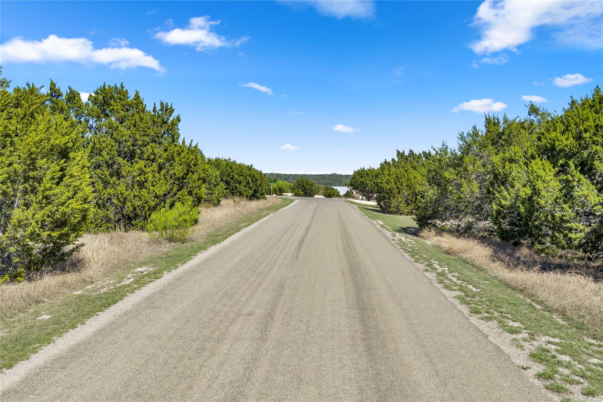 358 Balcones Ridgeway Way Bertram TX 78605