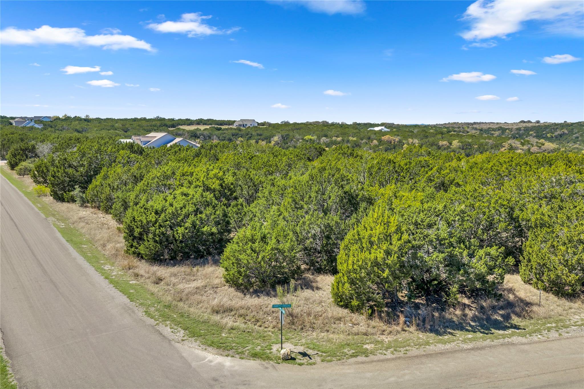 358 Balcones Ridgeway Way Bertram TX 78605