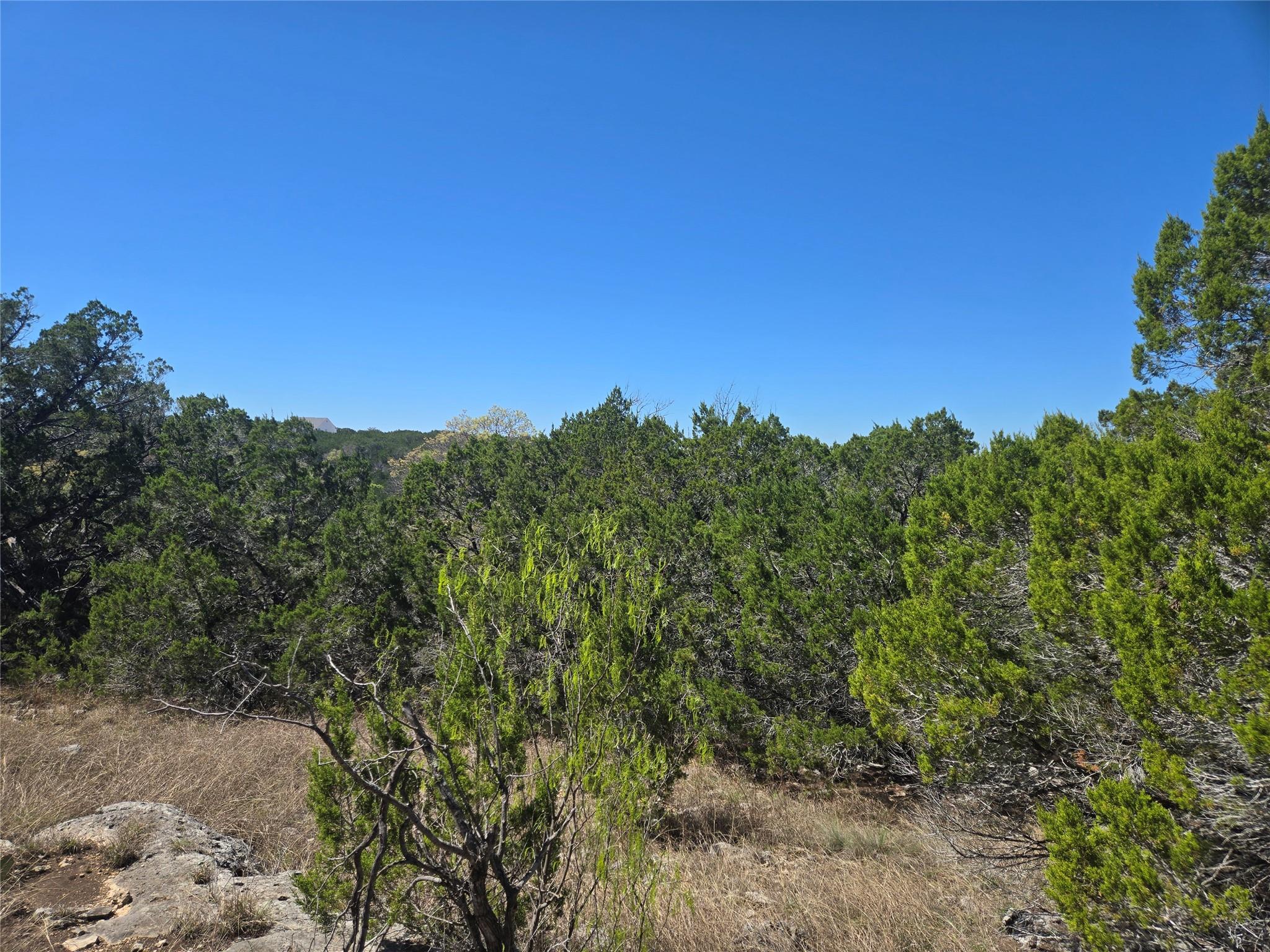 358 Balcones Ridgeway Way Bertram TX 78605