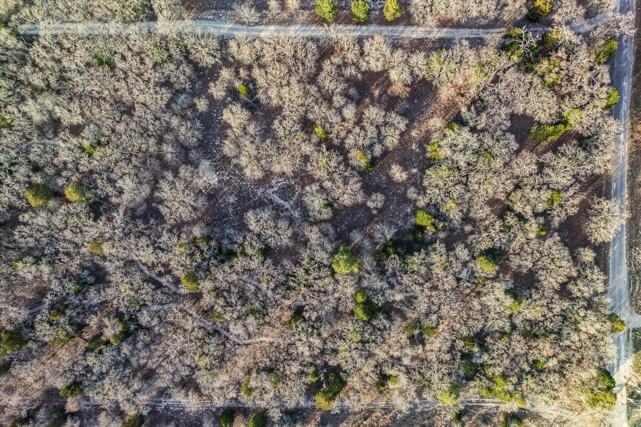 Tbd Christensen Road Elgin TX 78621