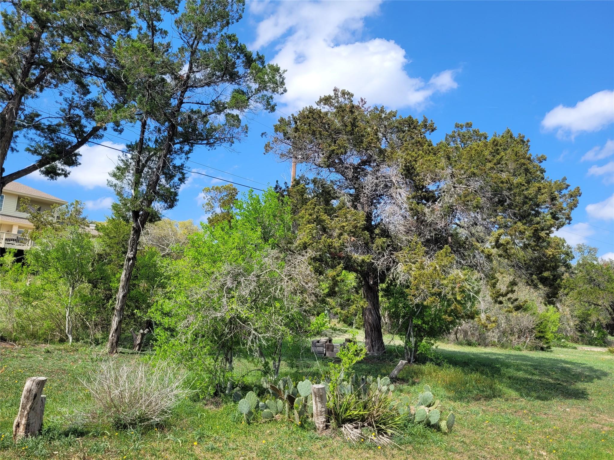 19920 Siesta Shores Drive Spicewood TX 78669