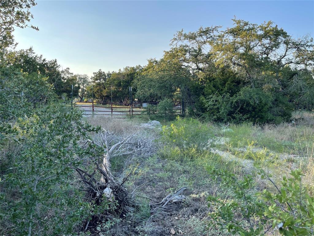 14602 Rock Cliff Cove Leander TX 78641