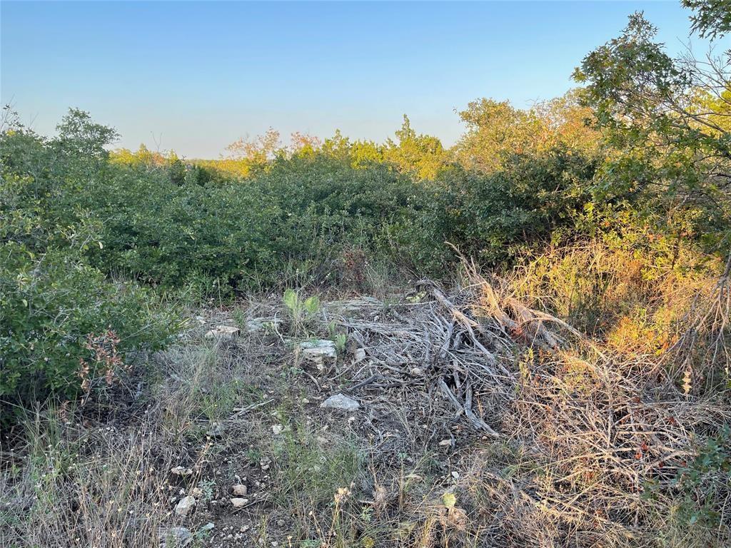 14602 Rock Cliff Cove Leander TX 78641