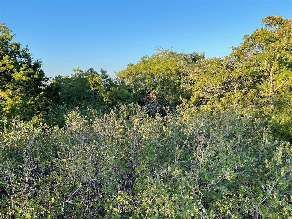 14602 Rock Cliff Cove Leander TX 78641