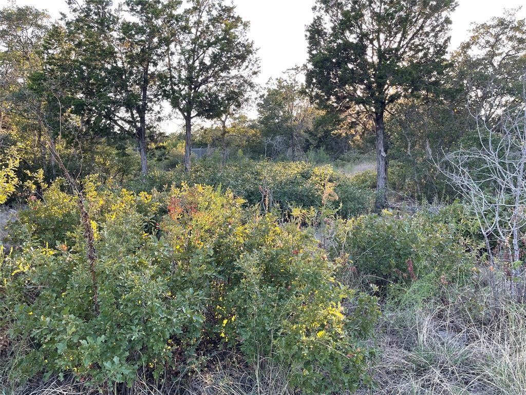 14602 Rock Cliff Cove Leander TX 78641