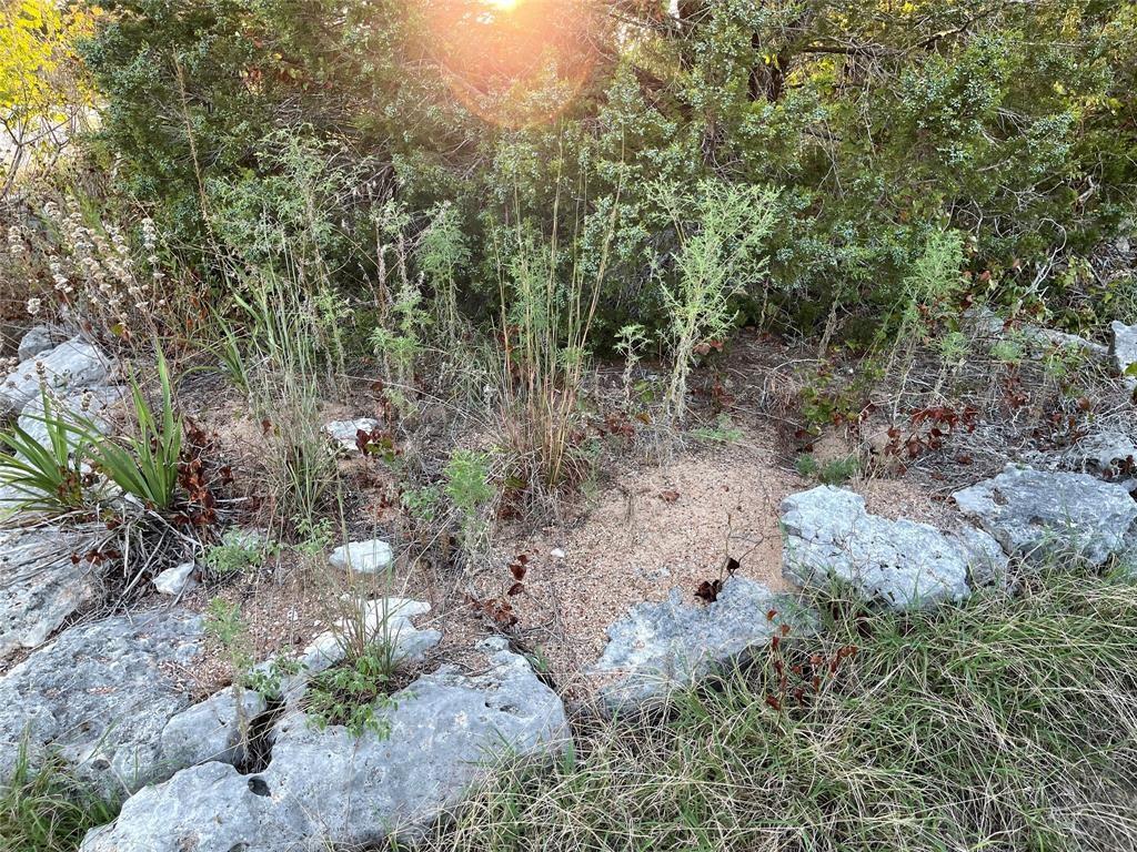 14602 Rock Cliff Cove Leander TX 78641