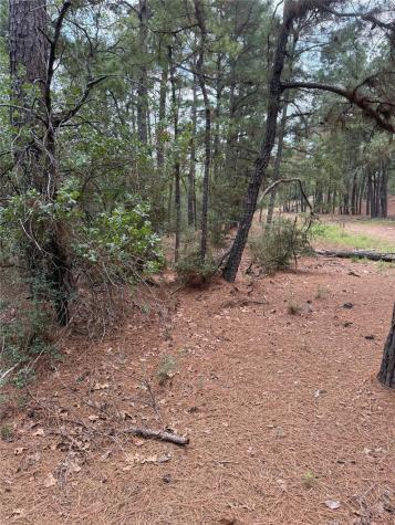 Lot 35 Tanglewood Drive Bastrop TX 78602