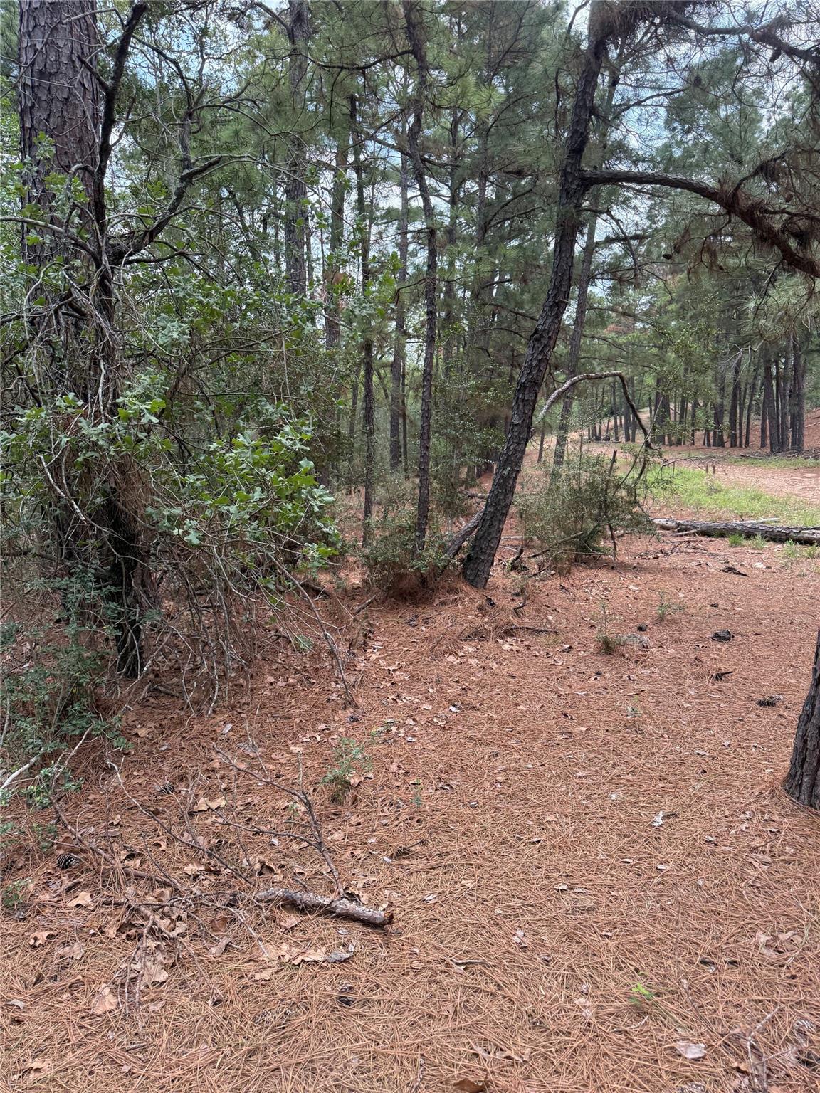 Lot 35 Tanglewood Drive Bastrop TX 78602