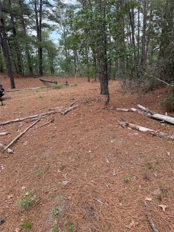 Lot 35 Tanglewood Drive Bastrop TX 78602