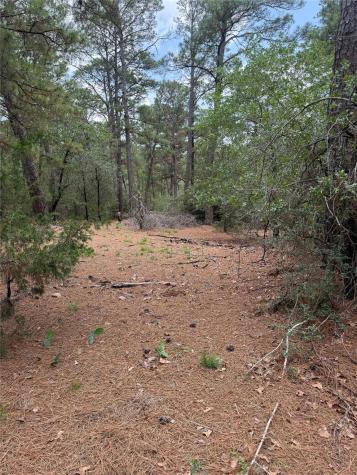 Lot 35 Tanglewood Drive Bastrop TX 78602