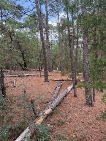 Lot 35 Tanglewood Drive Bastrop TX 78602