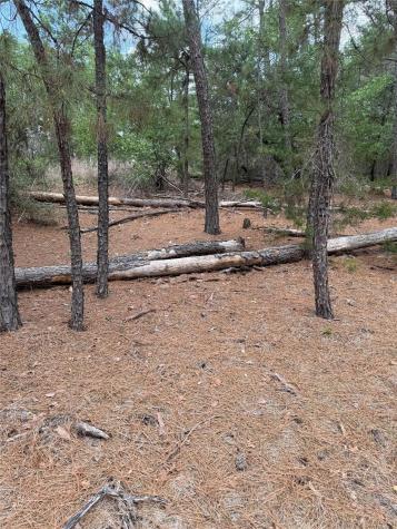 Lot 35 Tanglewood Drive Bastrop TX 78602