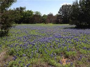 Lot 5-a Ridge Harbor Drive Spicewood TX 78669